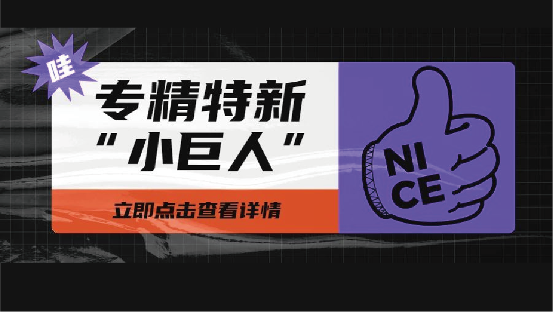上訊信息入選國(guó)家級(jí)專精特新&ldquo;小巨人&rdquo;企業(yè)